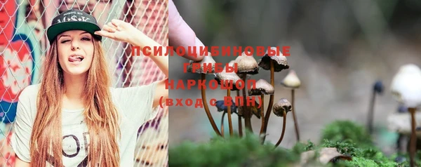 сатива Заволжье