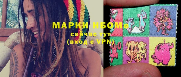 сатива Заволжье