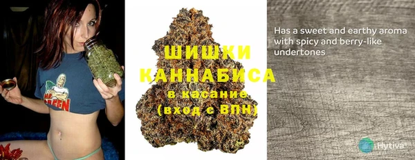 сатива Заволжье