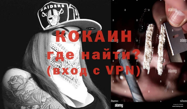 сатива Заволжье