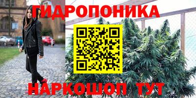 гашиш Аргун