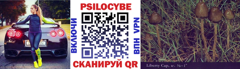 Купить  Ишимбай  Псилоцибиновые грибы мицелий 