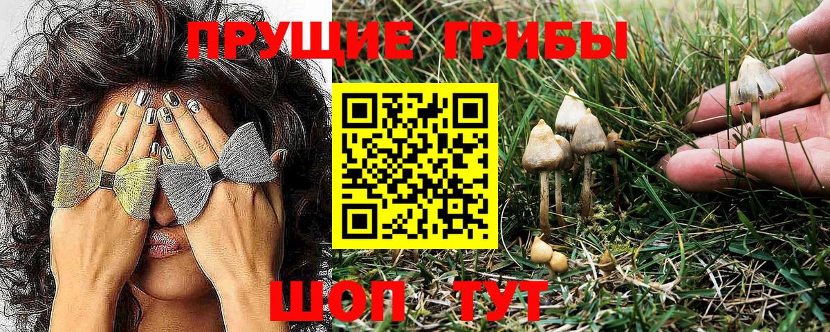 Галлюциногенные грибы GOLDEN TEACHER  Галлюциногенные грибы Magic Shrooms  Ишимбай  Вход с VPN 
