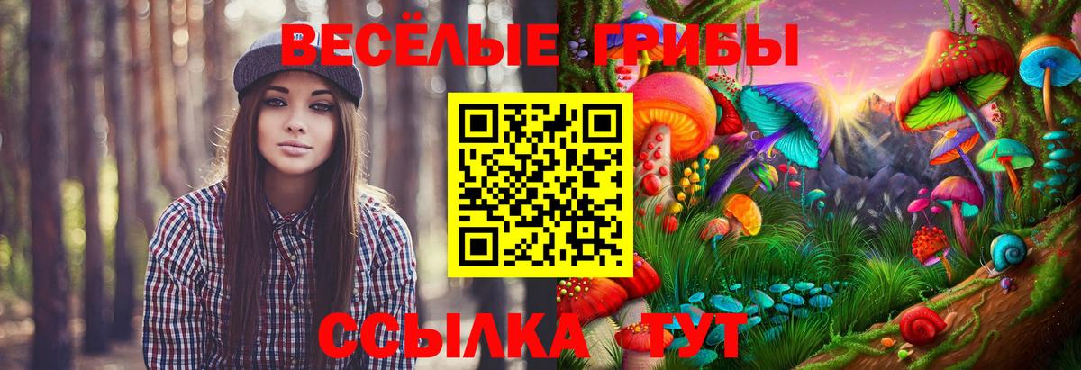 Галлюциногенные грибы ЛСД Ишимбай