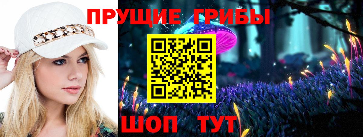 Псилоцибиновые грибы Psilocybe Ишимбай