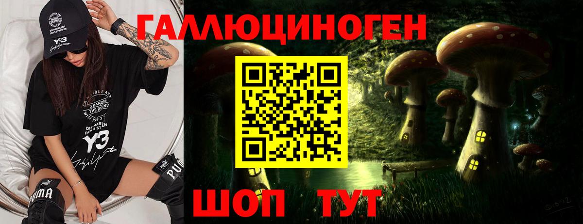 Марихуана  ГАШИШ  Ишимбай  МЕФ   Вход с VPN 